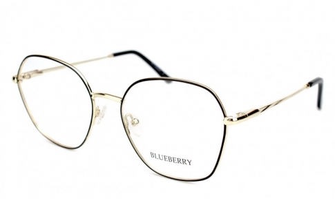 Оправа жіноча металева Blueberry 1113 c1_19