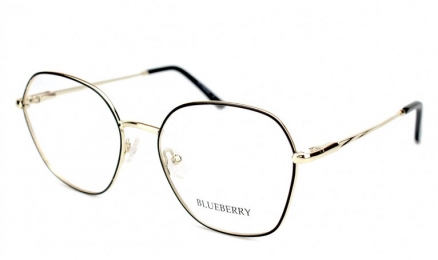 Оправа жіноча металева Blueberry 1113 c1_19
